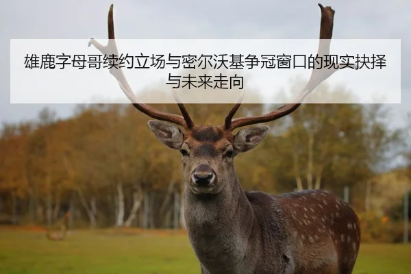 雄鹿字母哥续约立场与密尔沃基争冠窗口的现实抉择与未来走向