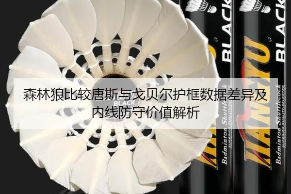 森林狼比较唐斯与戈贝尔护框数据差异及内线防守价值解析